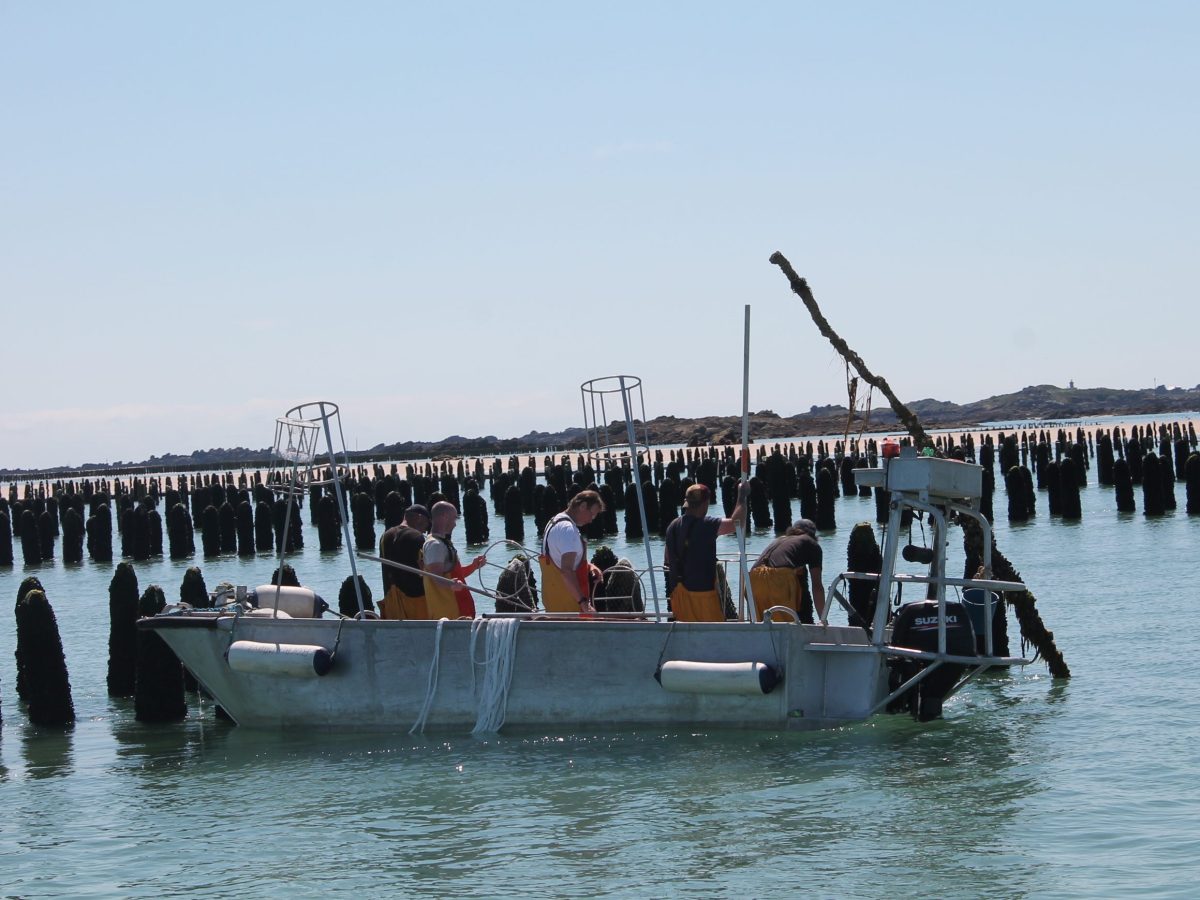 Die letzten Hüter des&nbsp;Meeres