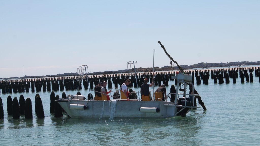 Die letzten Hüter des&nbsp;Meeres